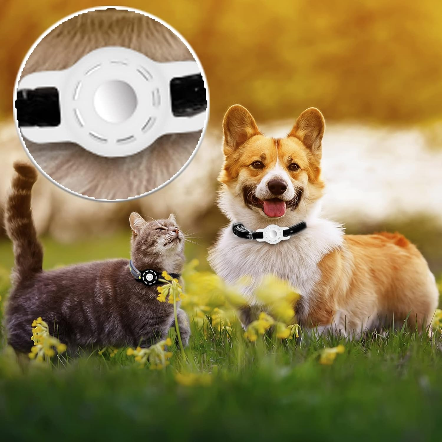 For Air Tag Cat Collar Holder for Apple Air Tag, 2 Pack of Pet Collar Holder for Cat and Small Dog Collar within 1/2 Inch and 2 Pack Protector for Air Tag – תמונה 5