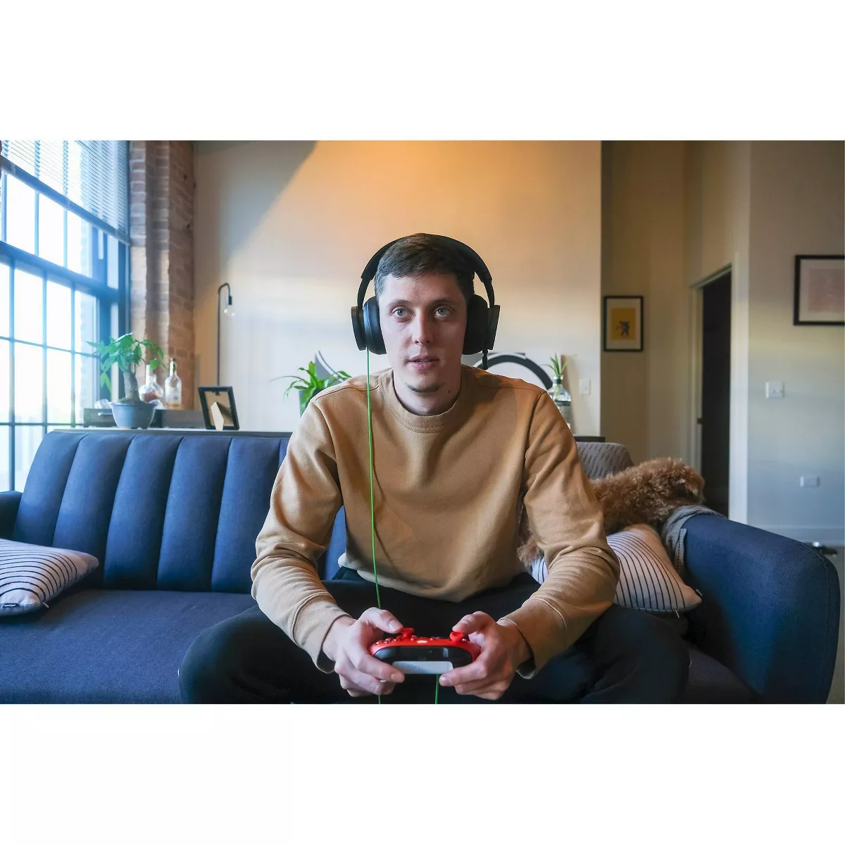 Xbox Wired Gaming Stereo Headset for Xbox Series X|S/Xbox One: Foam Cushions, 3.5Mm Jack – תמונה 8